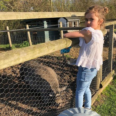 Willow Court Farm Studio East & Petting Farm, 8 Mins To Legoland & Windsor, 15 Mins To Lapland Uk Exterior foto